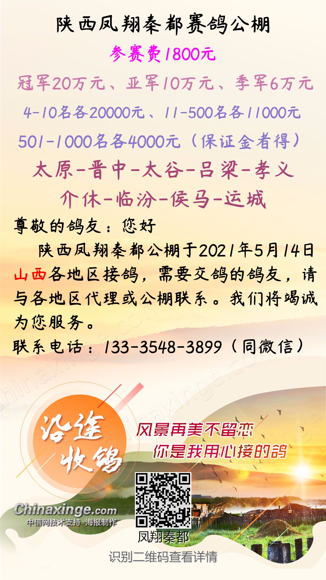 陕西秦都公棚最新公告及观点论述揭秘