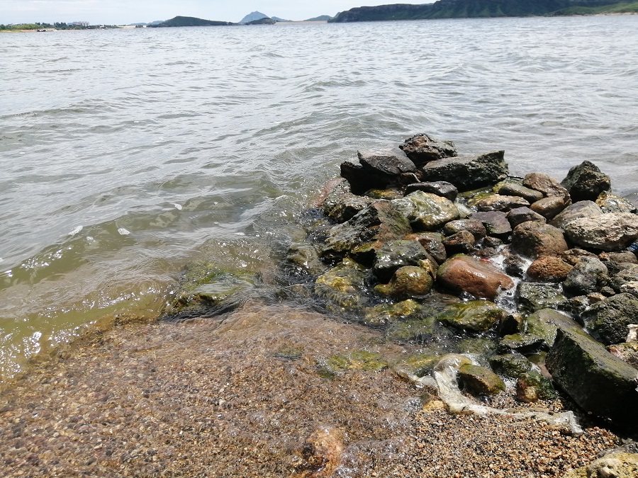 最新横山岭水库钓鱼之旅，深度体验与感受分享