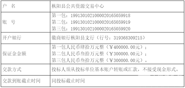 枞阳最新招标公告详解及招标动态更新