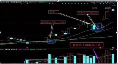 金轮股份最新行情及科技前沿产品介绍与体验之旅