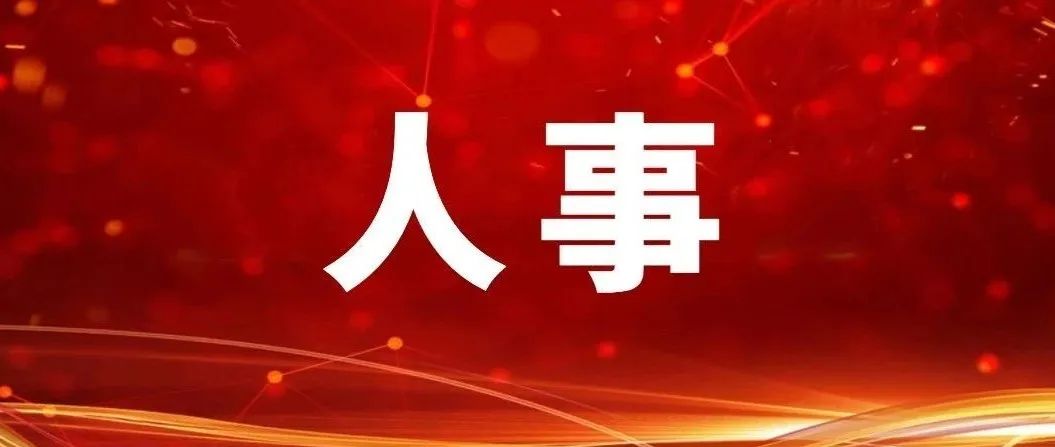 辽宁最新干部公示16人，邻里热议与主人公温馨日常全景展示