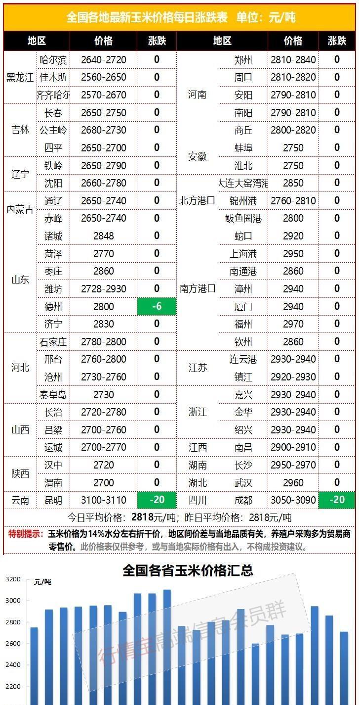 阜阳玉米价格最新动态，全面查询与了解指南