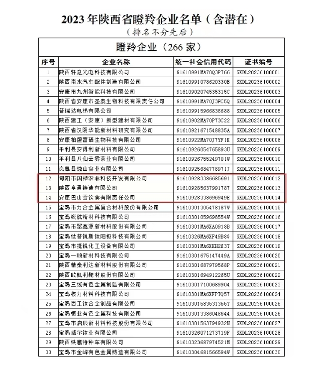 澳门彩三期必内必中一期,精准实施计划_和谐型31.578