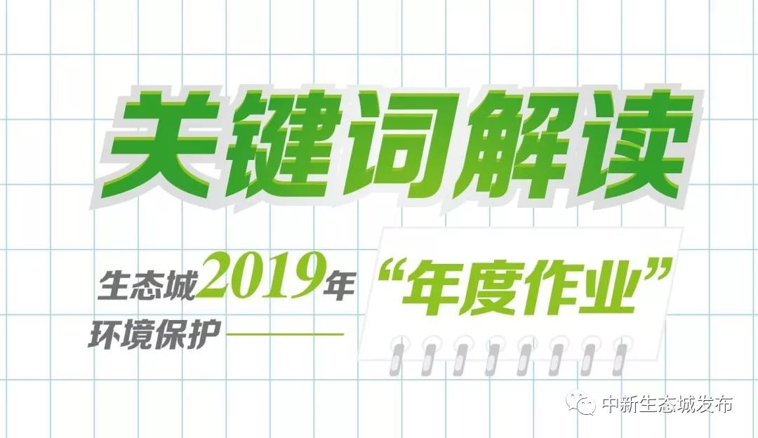 王中王最准一肖100免费公开,灵活性方案实施评估_环境版22.719