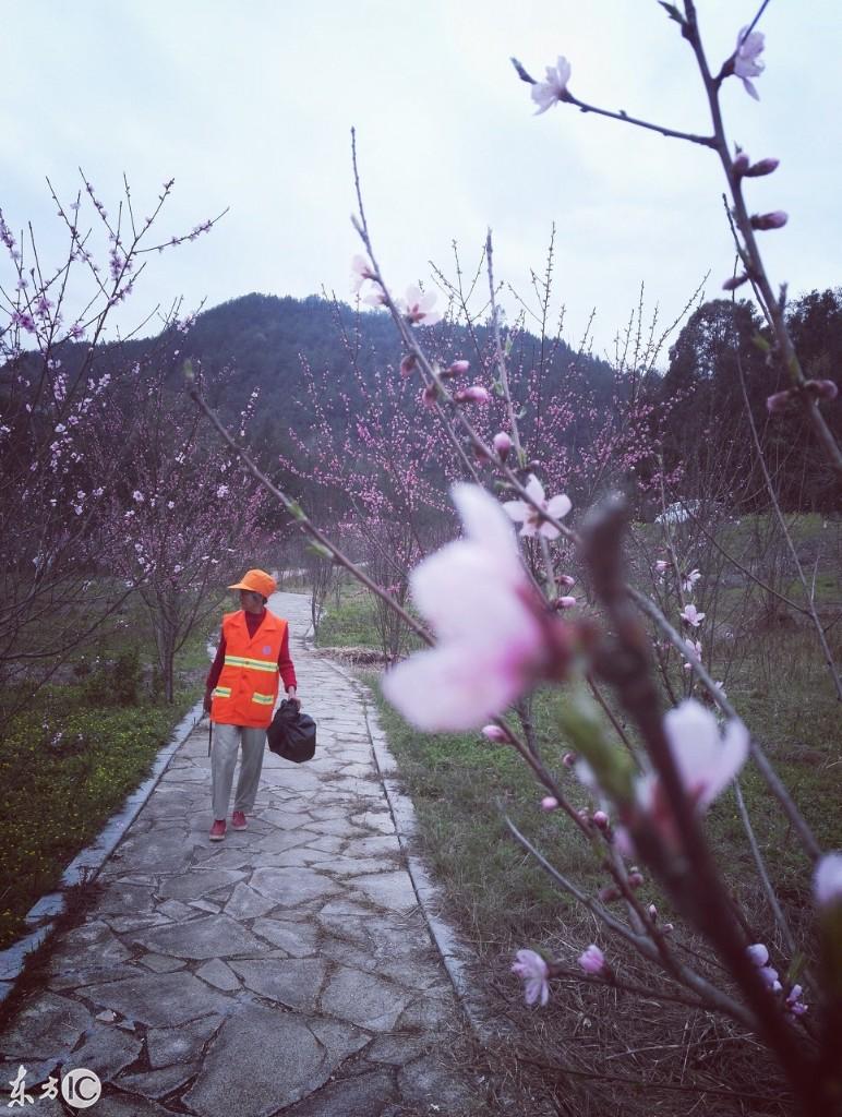 巴中水库最新动态报道，最新消息更新