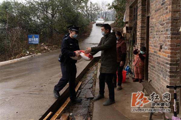 今日大蒜行情概览，温情小事与价格走势交织的一日