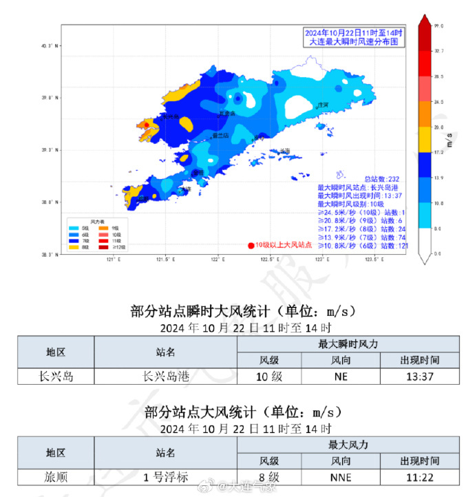 大连台风最新动态及小巷中的隐秘魅力