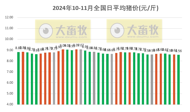 猪价走势最新动态更新，最新猪价走势分析