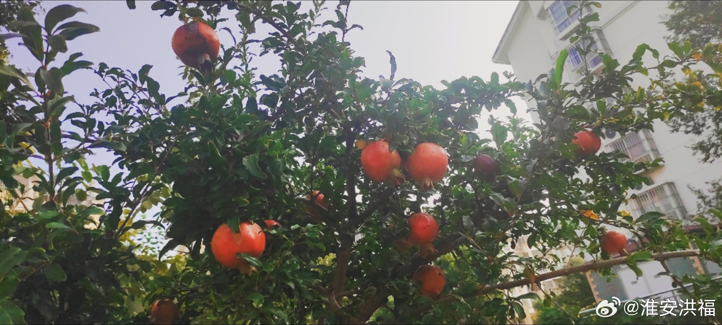 榴最新地址，追寻知识的灯塔，点燃自信的火花之旅