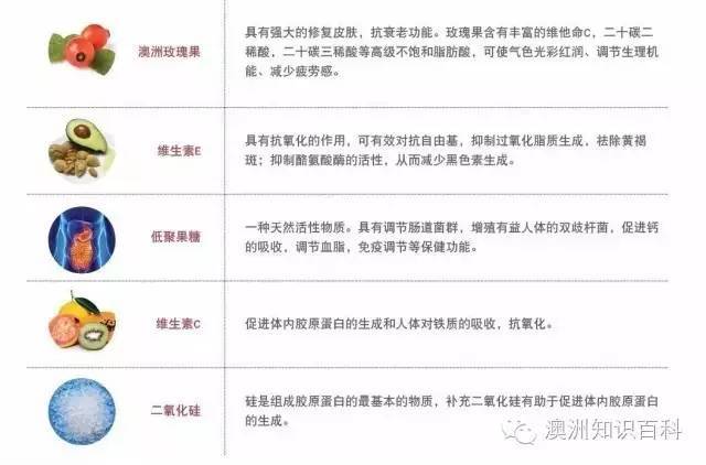 正版澳新资料免费宝典，最新权威解答释义_神器版ETR667.04