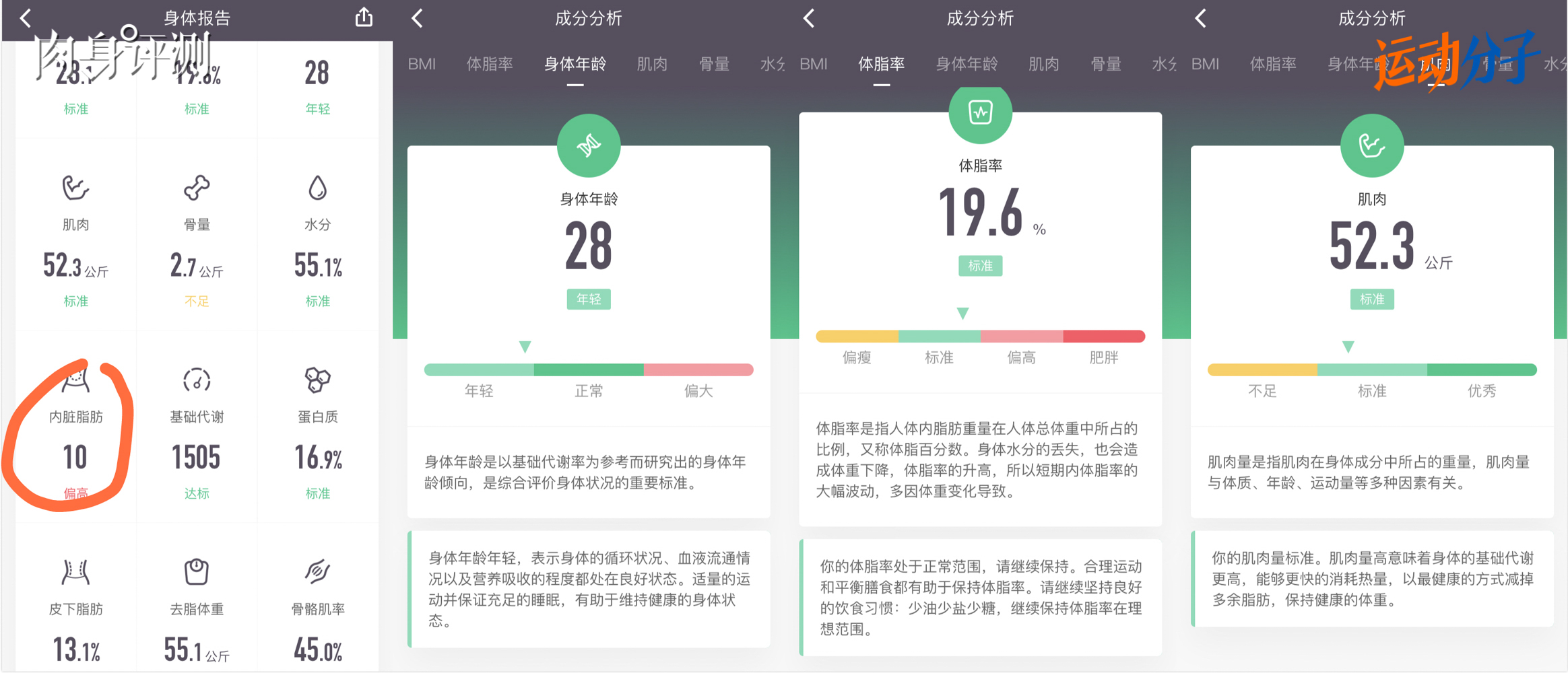 “免费提供新澳精准数据，详尽解读掌中版MKB991.27综合信息”