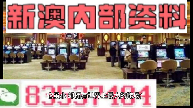 2024新澳免费资料大全精准版,专业执行问题_IFQ961.13天魂境