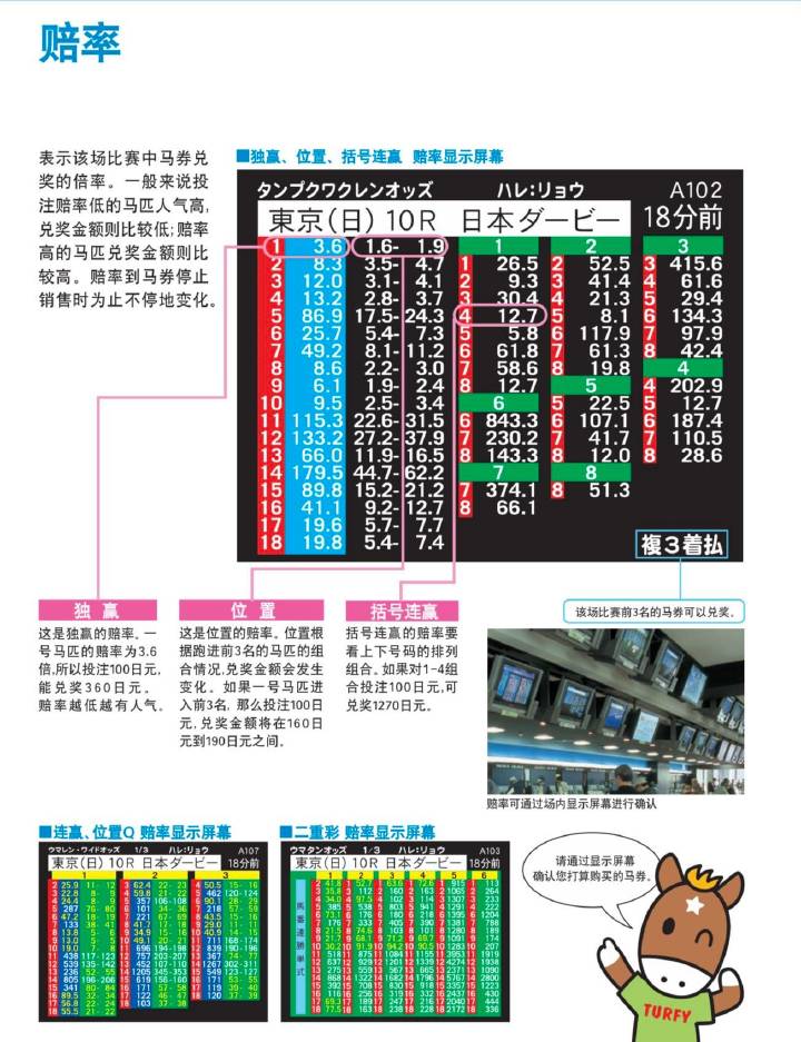 马会正版资料全集解析：WLM560.69竞技版深度研究