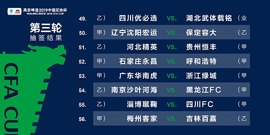 2024新澳最精准资料,综合数据说明_ROQ826.57游戏版