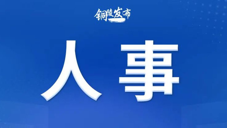 枞阳人事任免更新，时代步伐下的未来展望