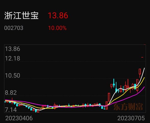 浙江世宝股票最新动态更新，最新消息全面解析