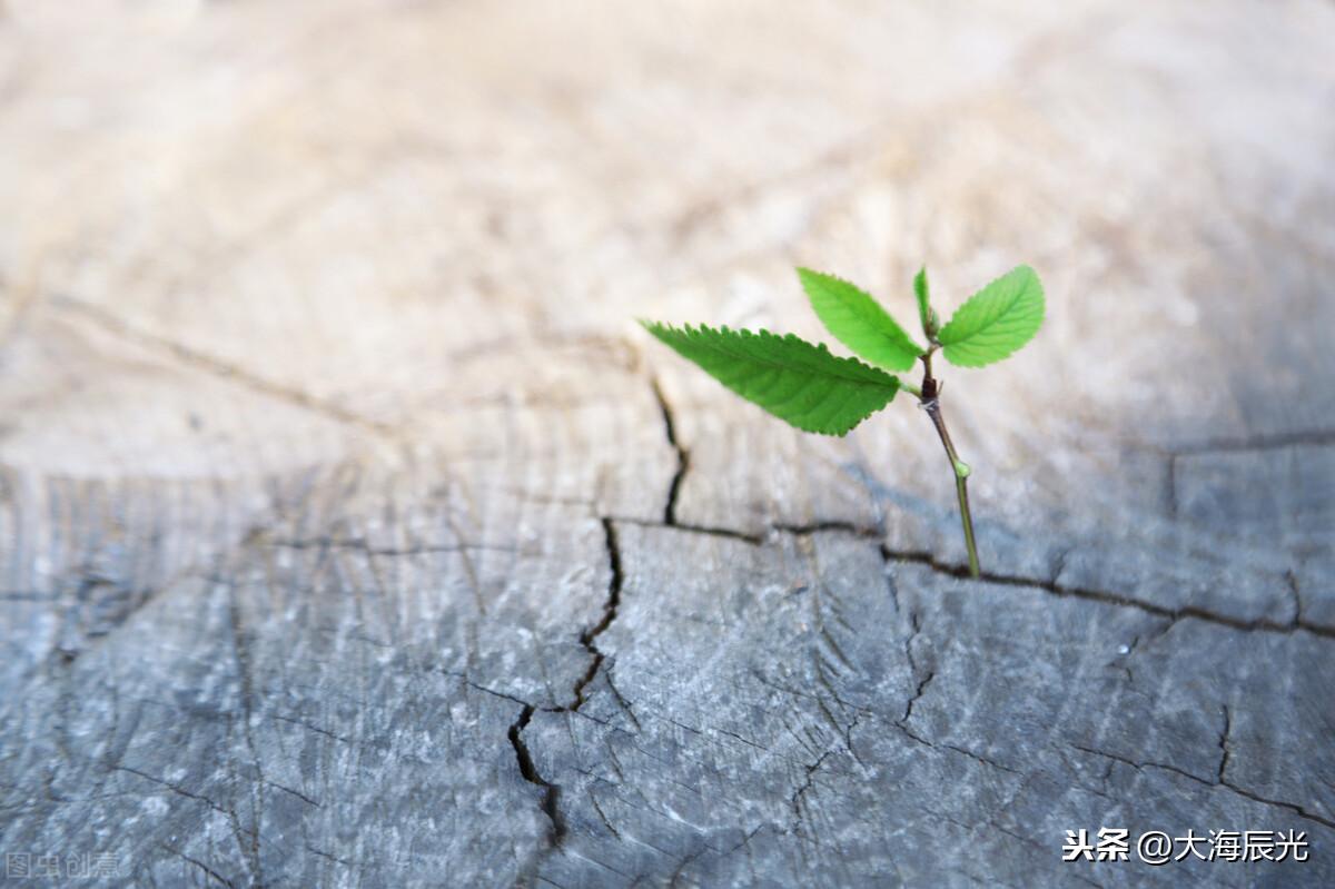 HR开直播，与心灵共舞的自然之旅直播秀