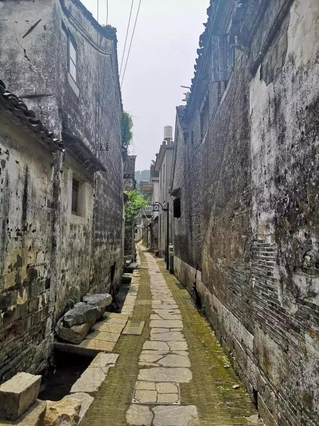 直播间医院,直播间医院，小巷深处的医疗宝藏