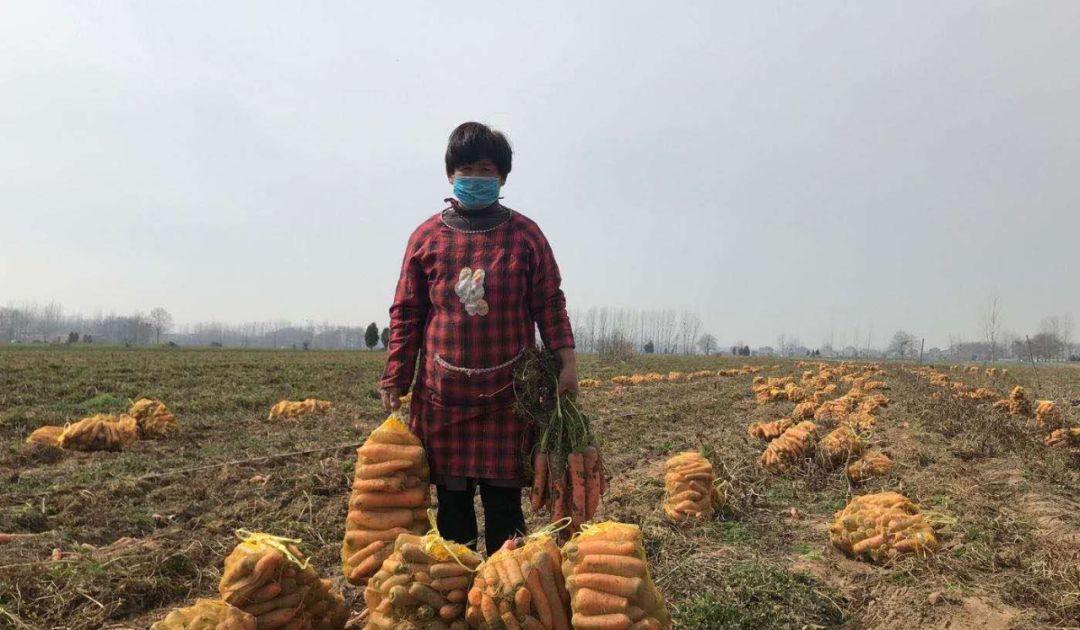 商丘高铁商城启航，速度与激情的未来之旅