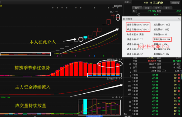 胜利股份最新股票动态，深度分析与观点阐述