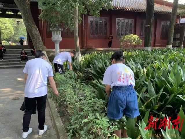 衡阳市委常委名单更新，变革力量引领未来自信与成就感之路