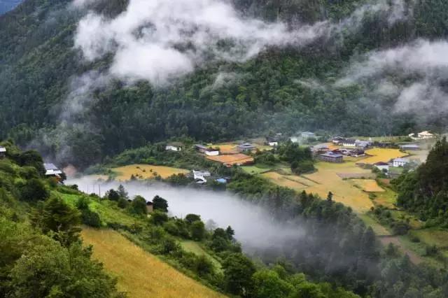 牛文荣老师最新视频，自然美景的心灵觉醒之旅