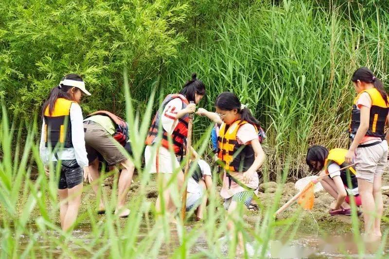 山东两参人员最新待遇揭秘，自然美景下的待遇探索之旅