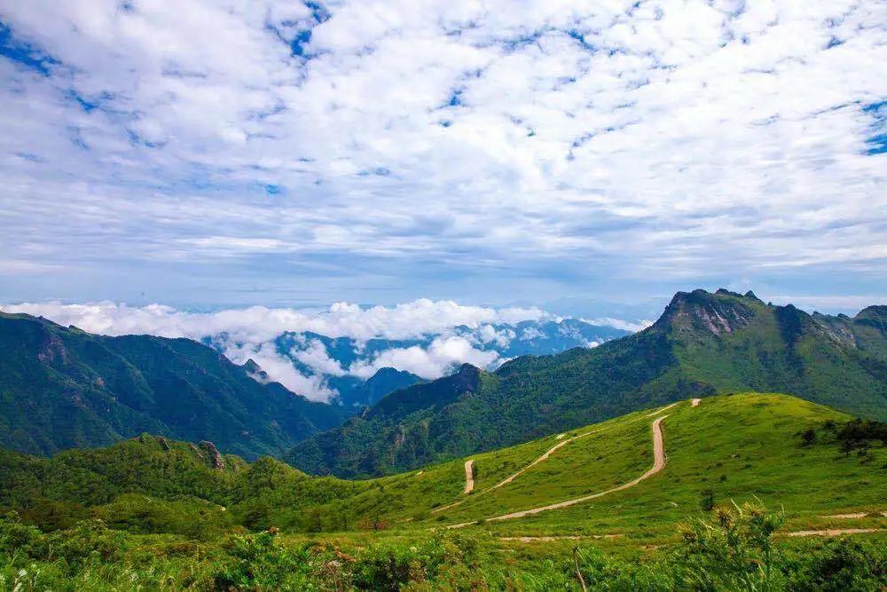 宁梁高速最新动态，驶向自然美景，探寻内心平和与宁静的旅程