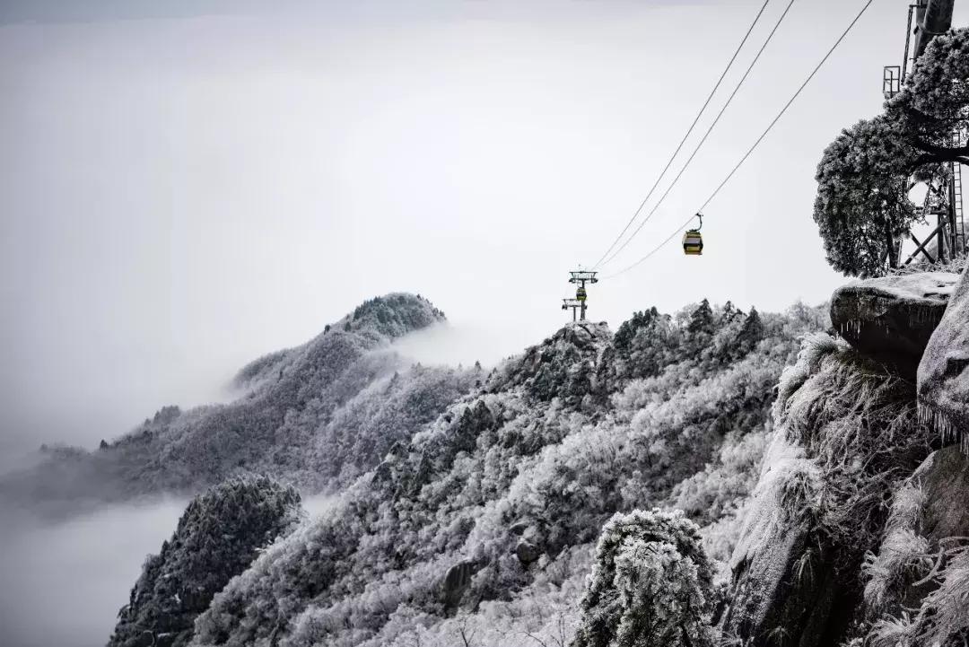 九华山最新消息,九华山最新消息，如何规划一次完美的九华山之旅的详细步骤指南