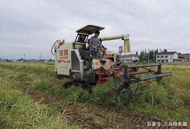 最新小型油菜收割机，轻松解决收割难题，高效助力农业生产！