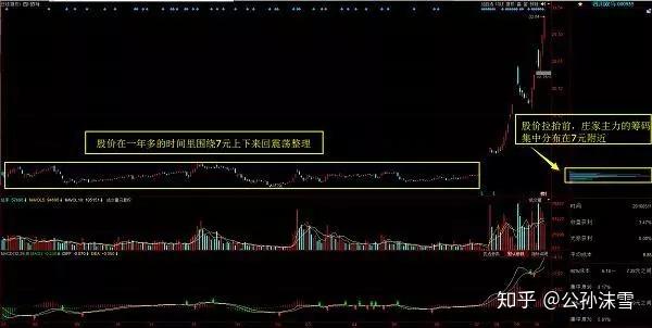 四川双马股票最新公告，变化引领自信与成就感，共同迈向成功之路