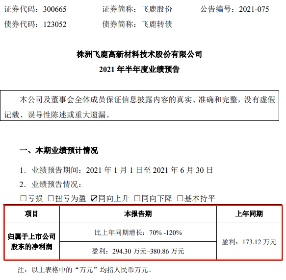 飞鹿股份最新动态揭秘，小巷中的隐藏瑰宝探秘