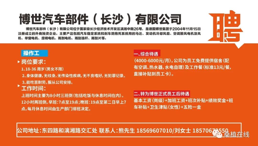 石泉招聘网最新招聘信息，求职全步骤指南