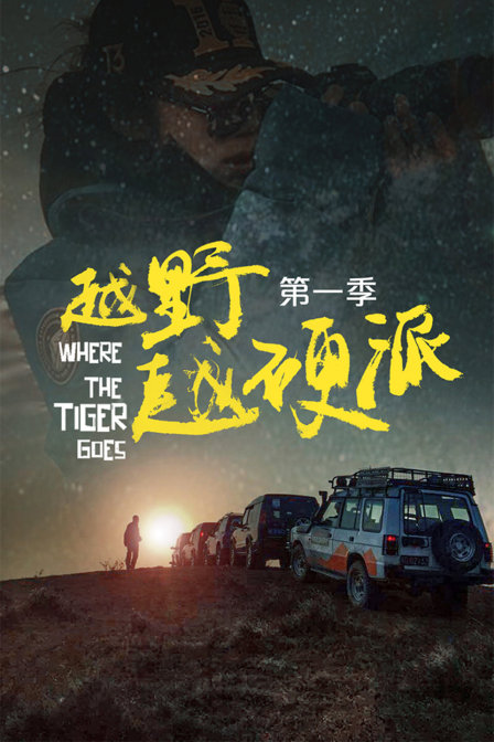 最新犯罪挣钱背后的故事，探索自然美景与内心宁静之旅