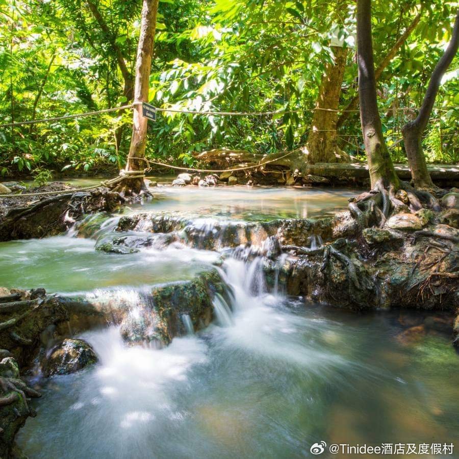探索自然美景的治愈之旅，最新Haoseqi网域名分享