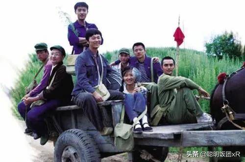 东风254最新报价，一段关于友情、家庭与陪伴的感人故事