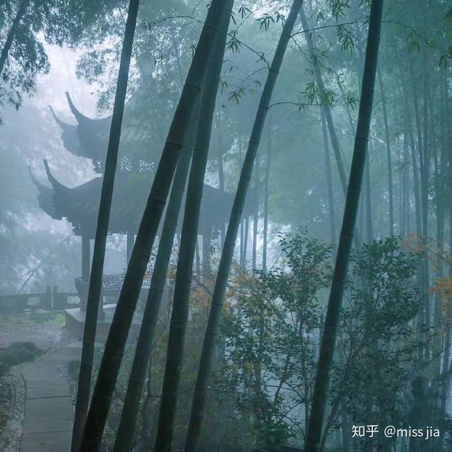 小巷深处的足艺秘境，最新缠足吧独家揭秘