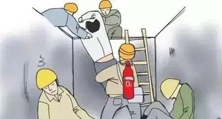深度解析，最新鸭瘟的背景、事件及其影响
