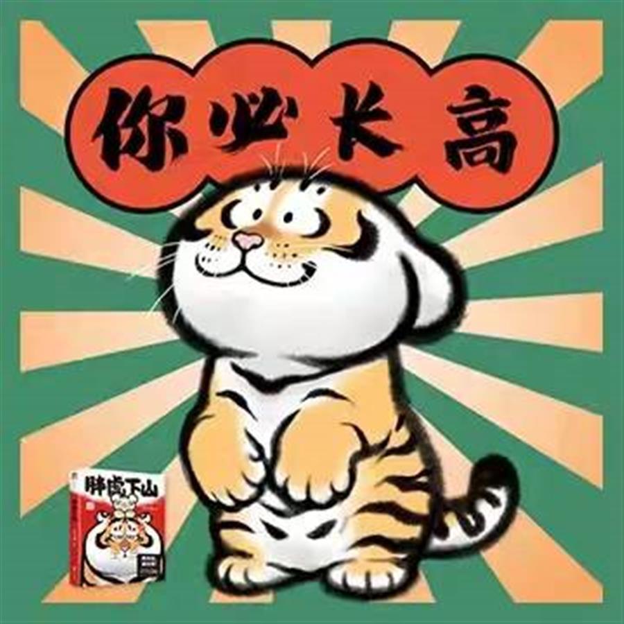 胖虎最新高科技产品介绍及评测