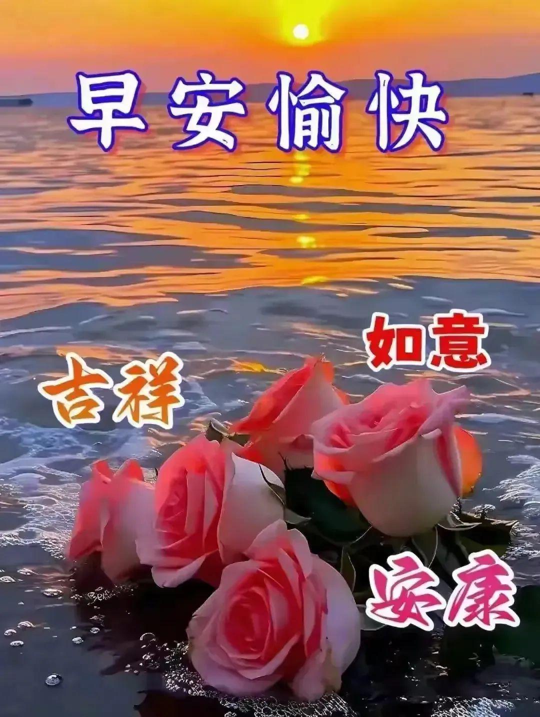 最新早安图，唤醒一天的积极力量与活力源泉