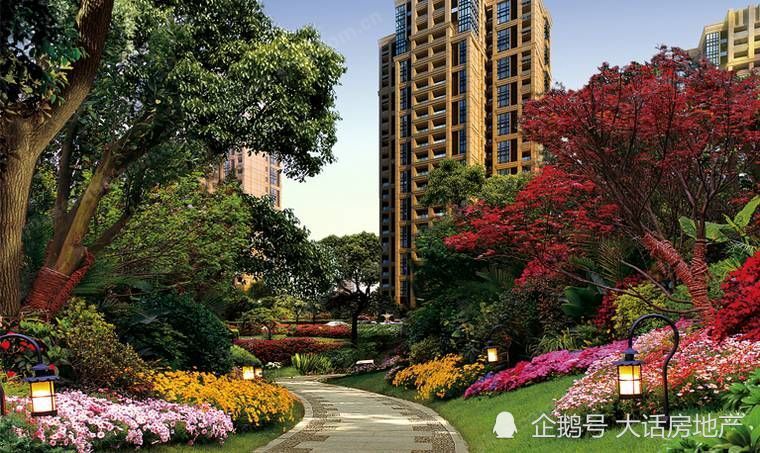 龙湖地产股票行情与巷弄深处的独特风情探索