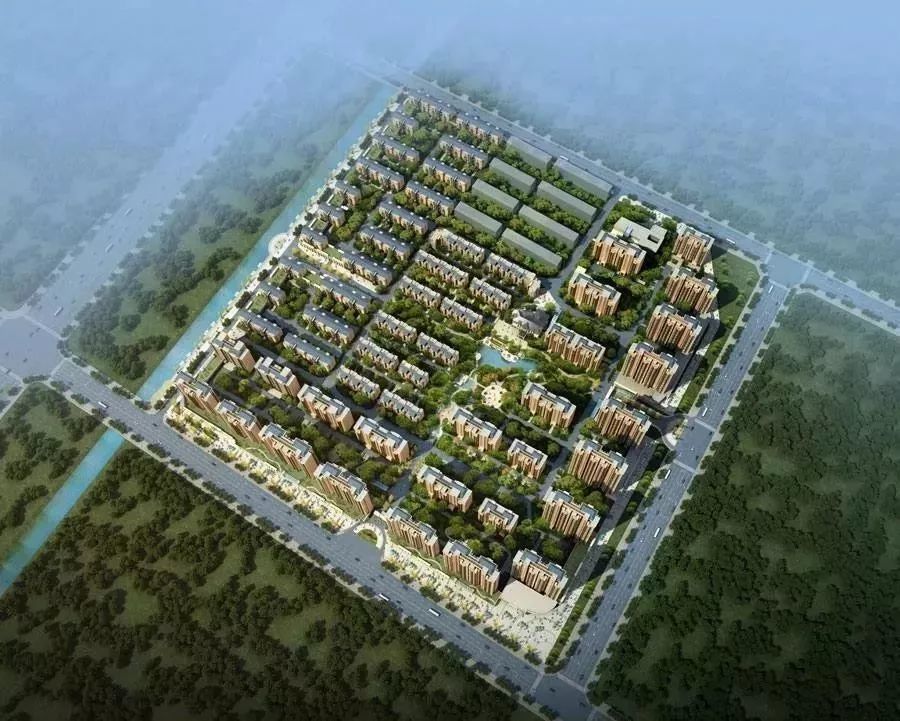 诸城金栗福地最新资讯，爆款来袭！