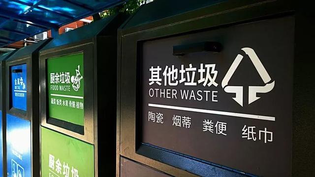 垃圾分类上市企业，小巷中的绿色明珠引领行业新潮流