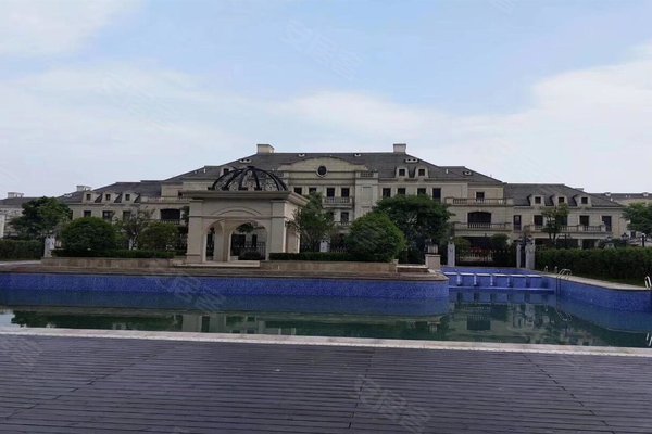 衢州通策兰堡最新动态深度解析与观点阐述