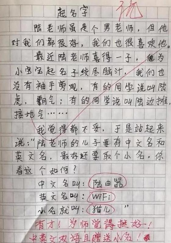 男宝宝英文小名最新版，选择与定制指南