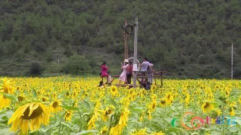 勃利县楼盘最新信息，与自然美景的邂逅，寻找平和与宁静的生活空间