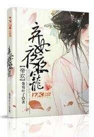 一夜弃妃书评最新，全面解读与撰写步骤指南