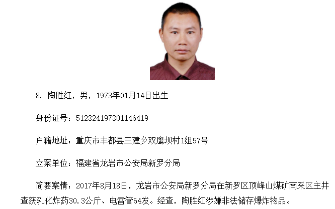 福建最新网上通缉令，观点阐述与深度分析
