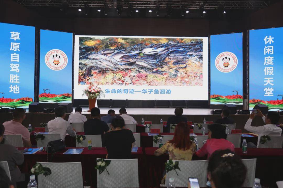龙泽乃南最新作品，变化中的学习之旅与自信成就感的魔法钥匙探索