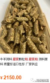 今日菜柏价格行情解析及深度报告
